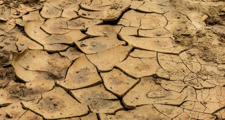 découvrez l'univers fascinant de l'argile : ses propriétés, ses utilisations artistiques et artisanales, ainsi que des conseils pratiques pour travailler cette matière. explorez des techniques de modelage et laissez libre cours à votre créativité !