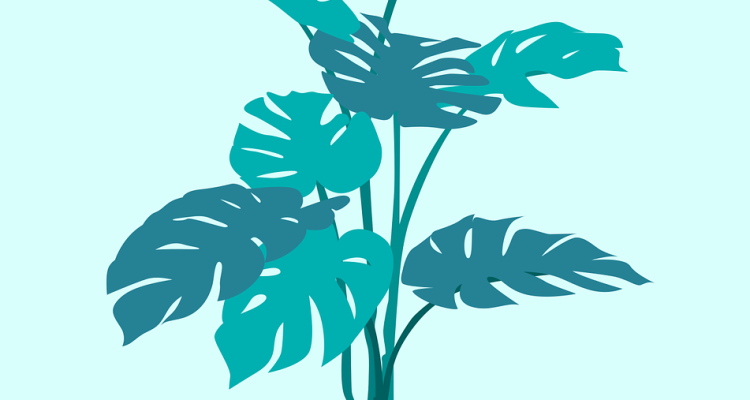 découvrez les plantes sédatives naturelles qui aident à apaiser l'esprit et à favoriser le sommeil. apprenez à utiliser ces remèdes efficaces pour réduire le stress et l'anxiété grâce à la puissance de la nature.